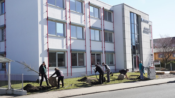 Baumpflanzen vor Gebäude